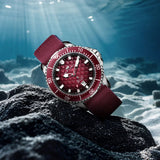 Sea-Gull Ocean Series Dragon Kings Dive Automatic Watch 44mm 316L Stainless Steel